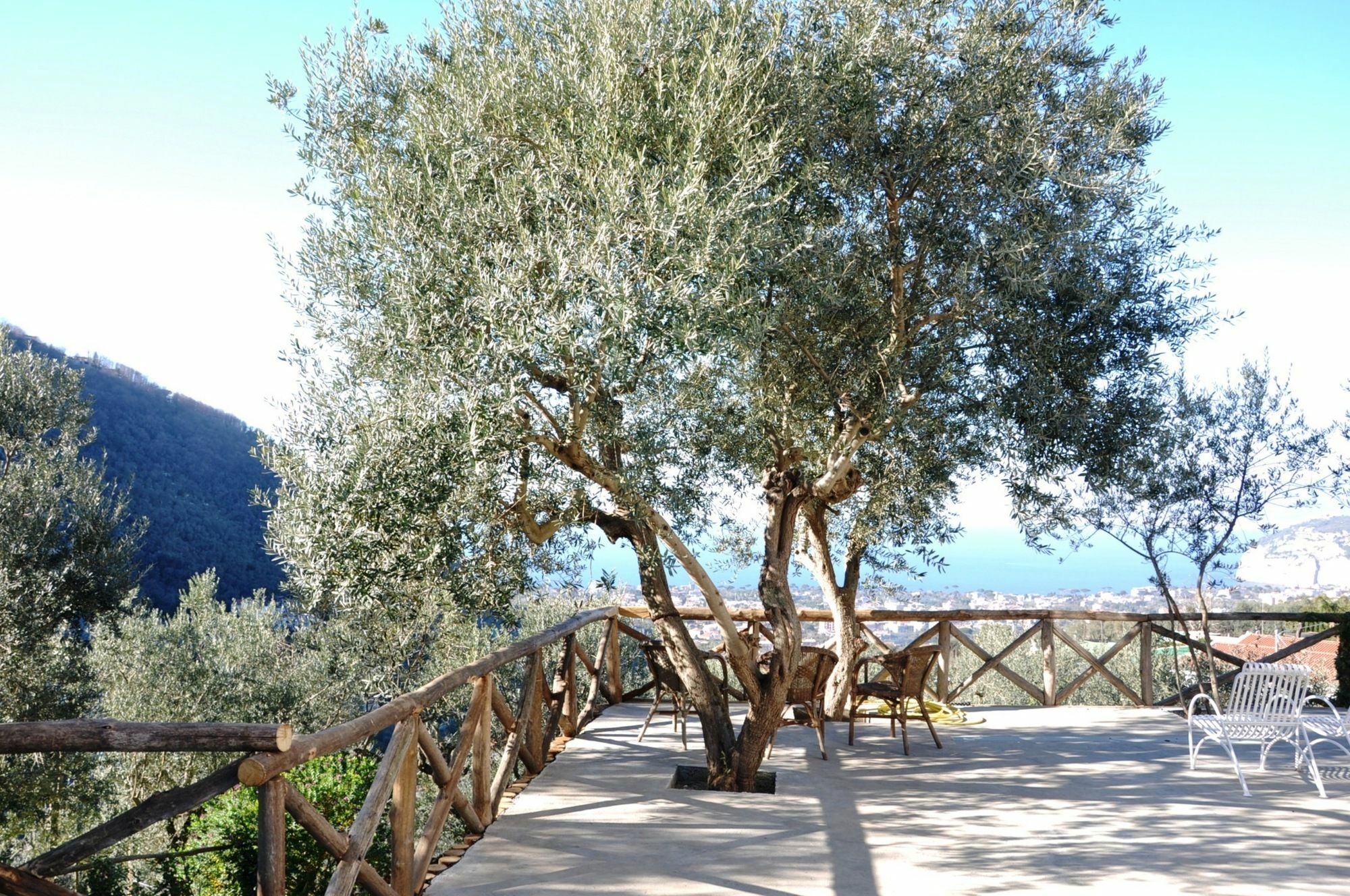 Casa Mazzola Bed & Breakfast Sant'Agnello Eksteriør bilde